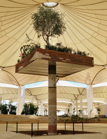 Tree growing from an elevated sculptural platform in a covered public space