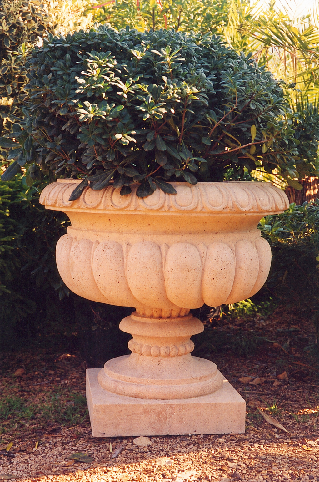 Classical carved stone planter with greenery in a garden